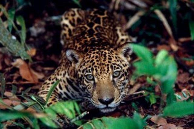 Cataguas Brasil Pousada คาร์รันกัส ภายนอก รูปภาพ